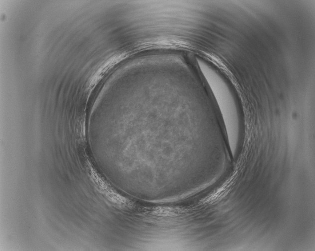 X0000057080938200509231620