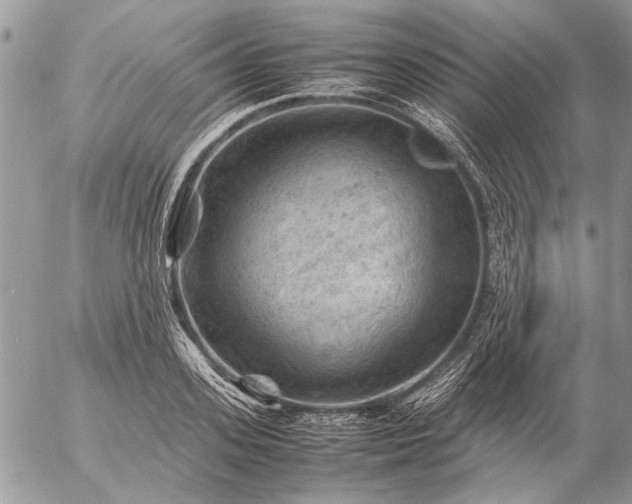 X0000057080939200509231620