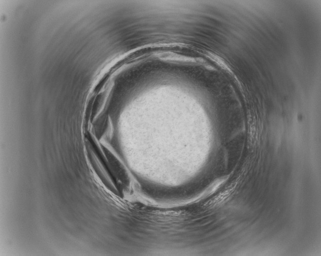 X0000057080943200509231620