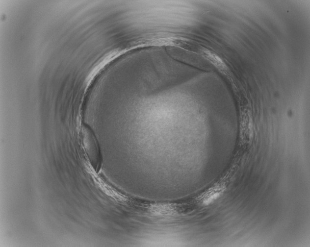 X0000057080944200509231620