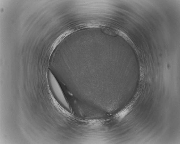 X0000057080946200509231620