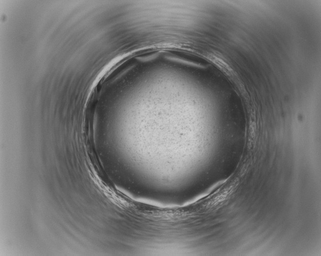 X0000057080948200509231620