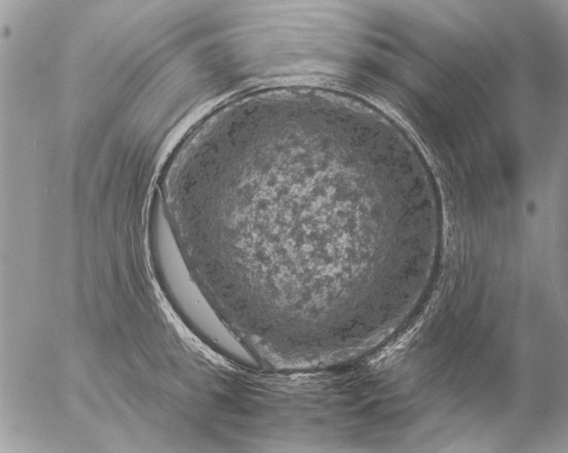 X0000057080949200509231620