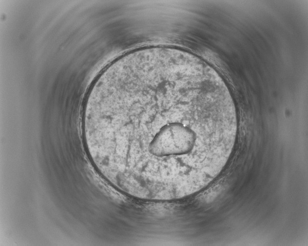 X0000057080950200509231620