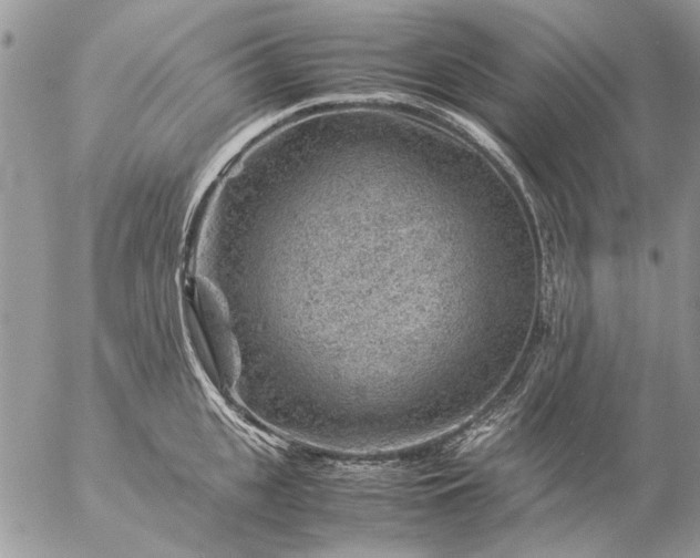 X0000057080951200509231620