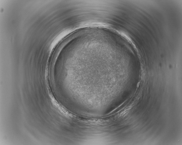 X0000057080952200509231620