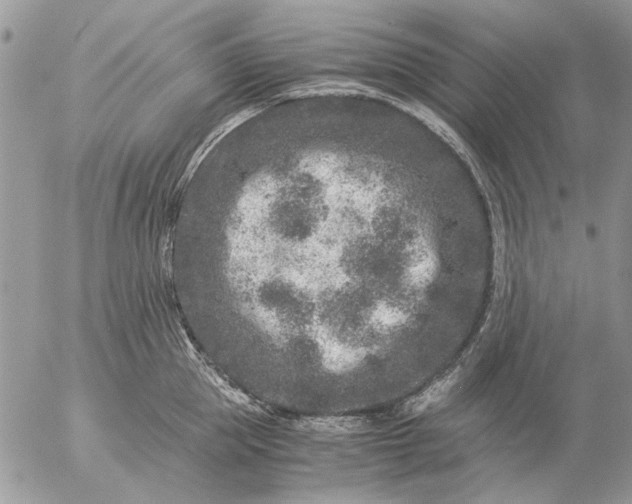 X0000057080953200509231620