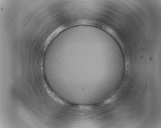 X0000057080954200509231620