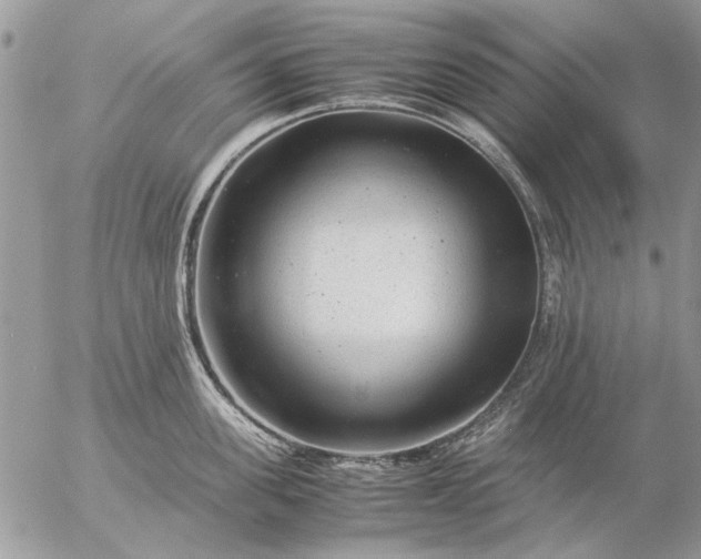 X0000057080955200509231620