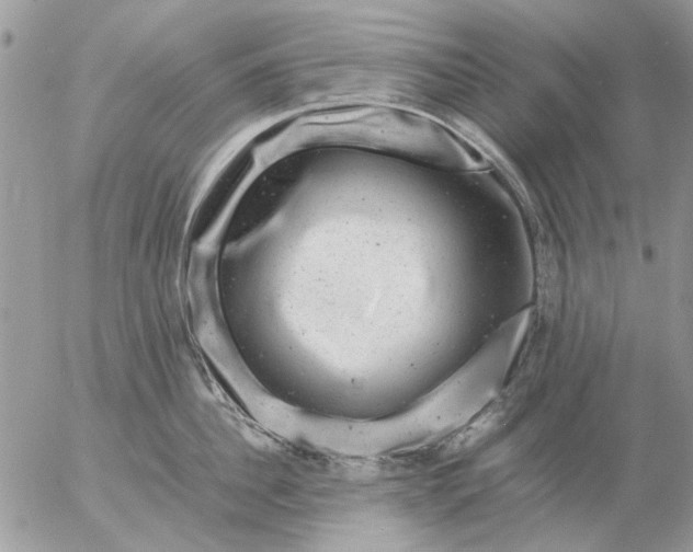 X0000057080956200509231620