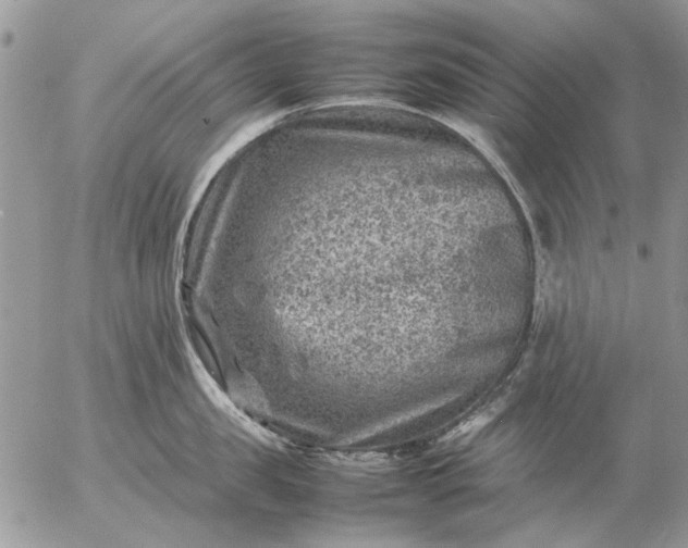 X0000057080957200509231620