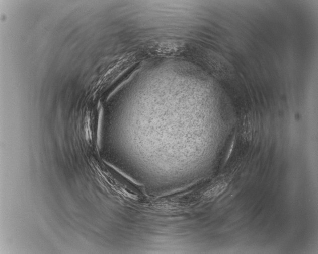 X0000057080962200509231620