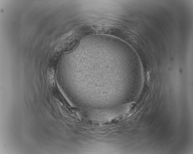 X0000057080963200509231620