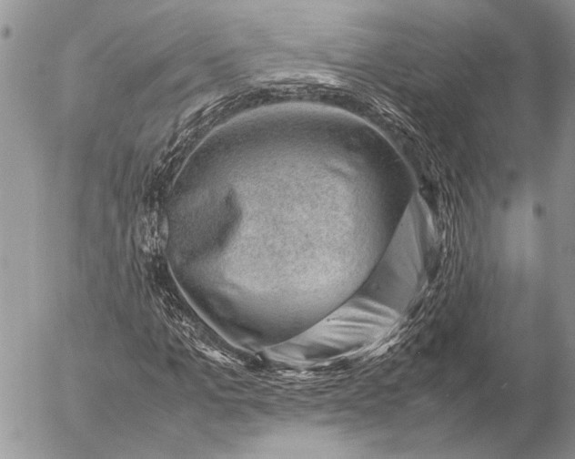 X0000057080965200509231620