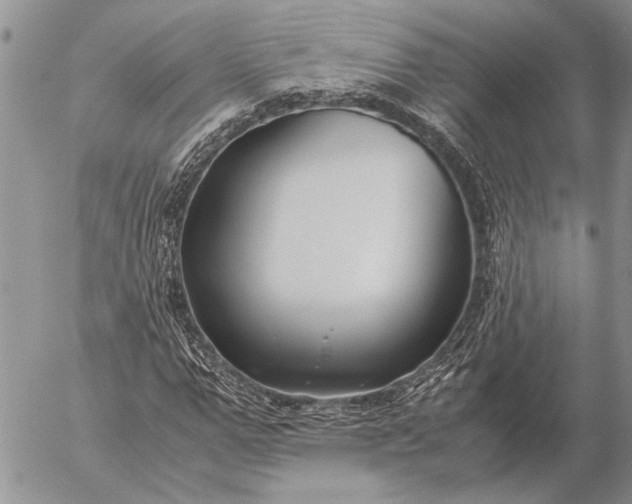 X0000057080967200509231620