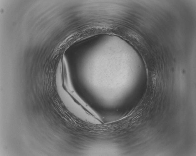 X0000057080968200509231620