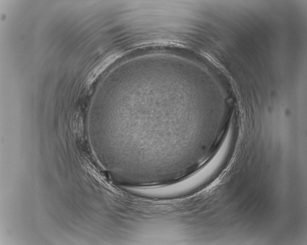 X0000057080969200509231619