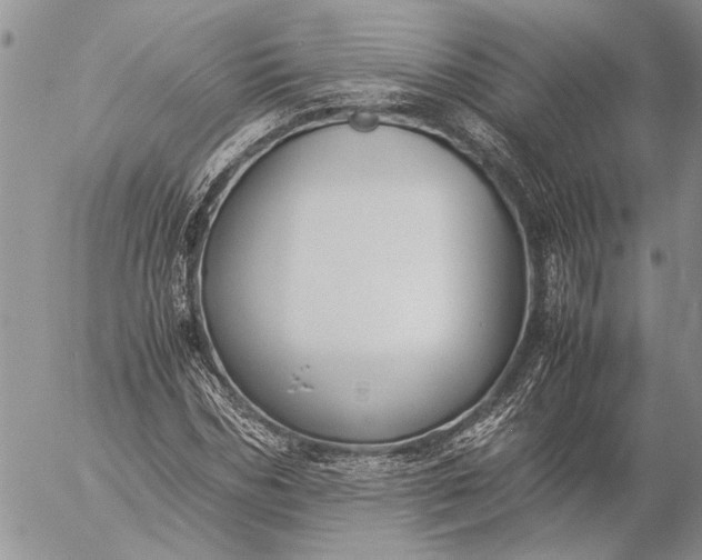 X0000057080970200509231619