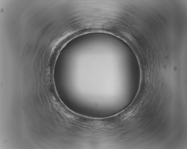 X0000057080971200509231619