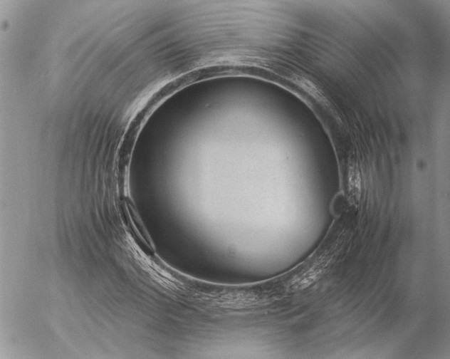 X0000057080972200509231619