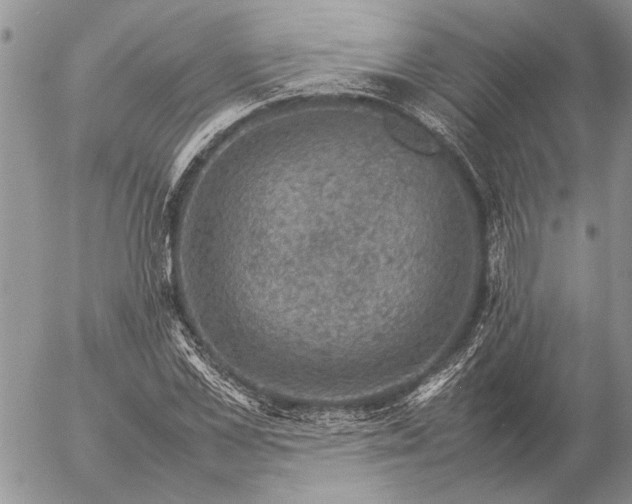 X0000057080973200509231619