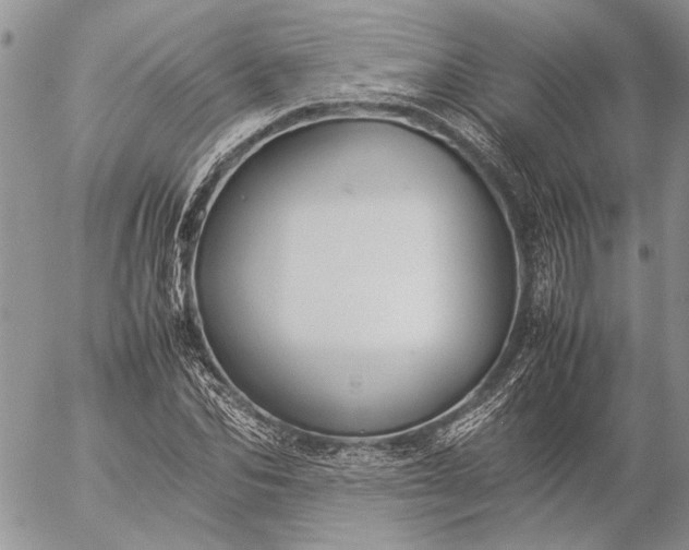 X0000057080974200509231619