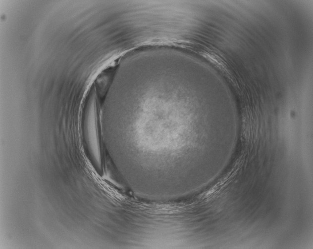 X0000057080976200509231619