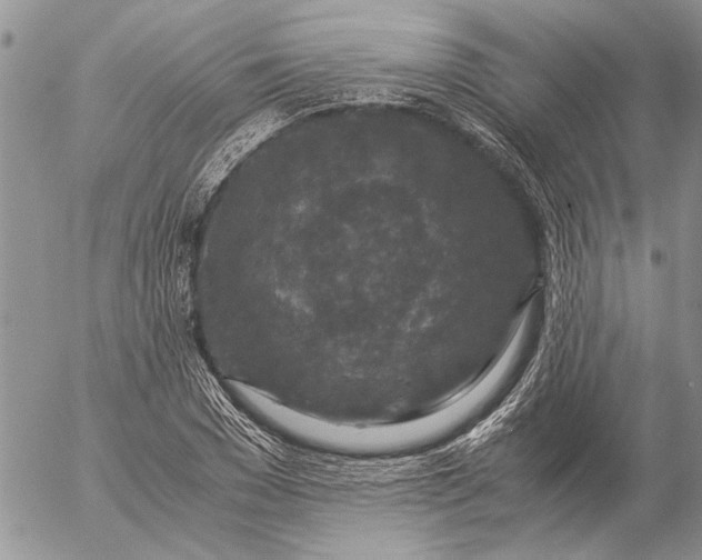 X0000057080977200509231619