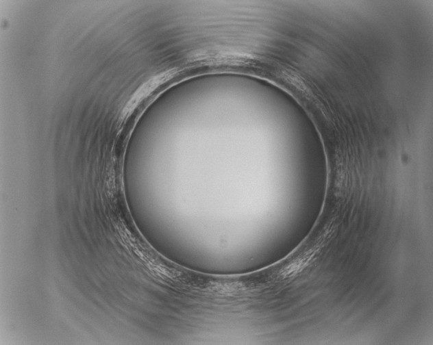 X0000057080978200509231619