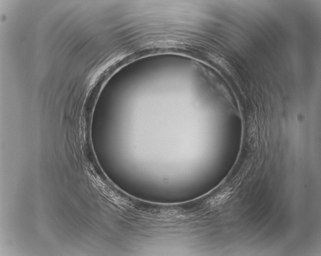 X0000057080979200509231619