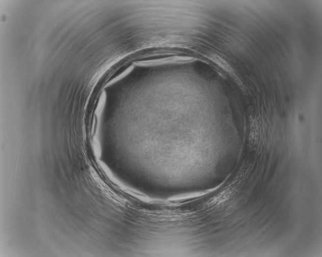 X0000057080980200509231619