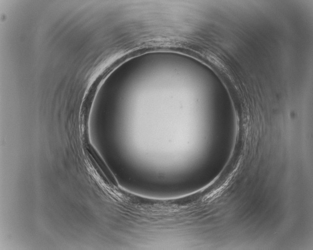 X0000057080981200509231619