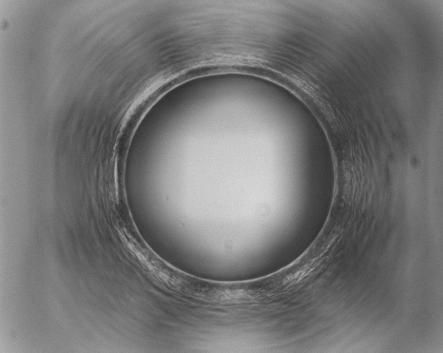 X0000057080982200509231619