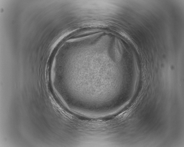 X0000057080983200509231619