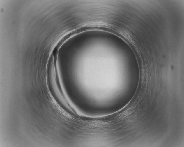 X0000057080984200509231619