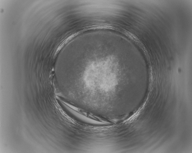 X0000057080985200509231619