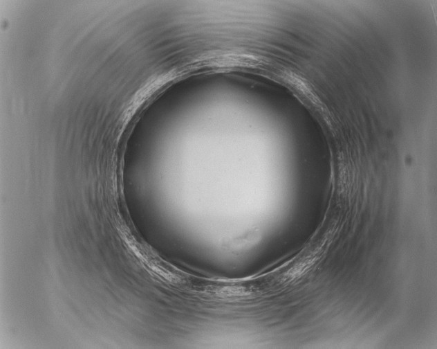 X0000057080986200509231619