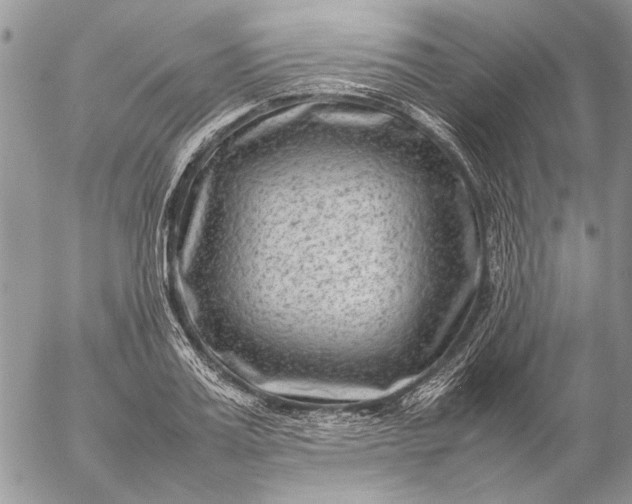 X0000057080987200509231619