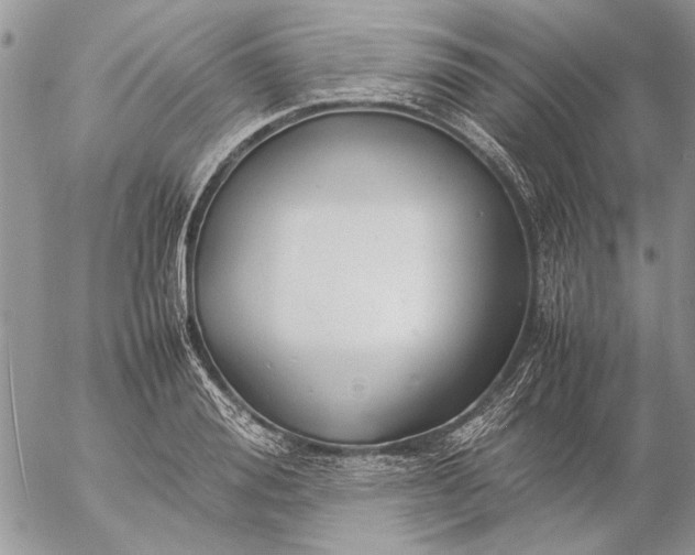 X0000057080988200509231619