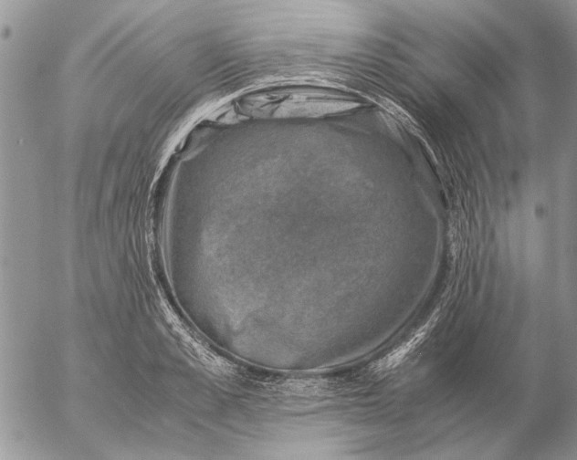 X0000057080989200509231619