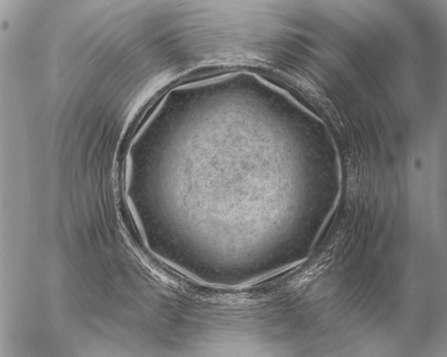 X0000057080990200509231619