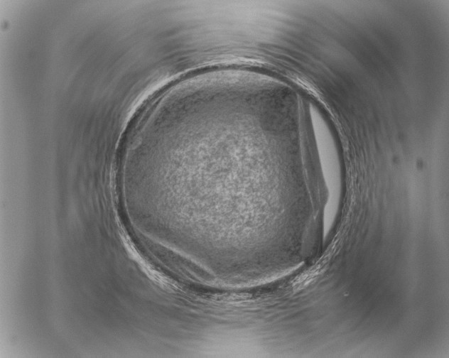 X0000057080991200509231619