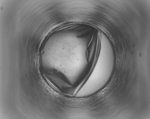 X0000057080992200509231619