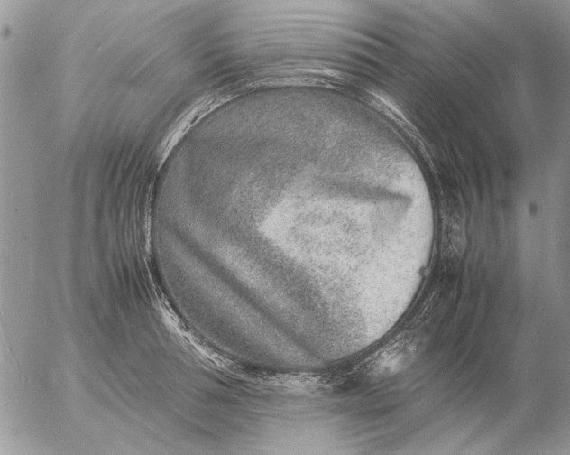 X0000057080994200509231619