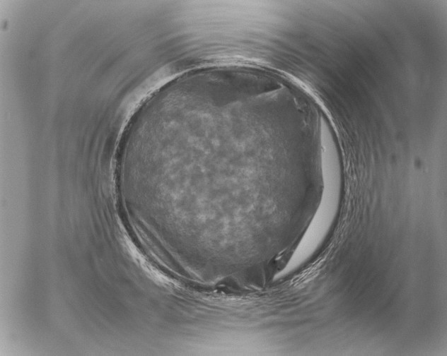 X0000057080995200509231619