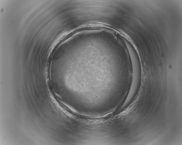 X0000057080997200509231619