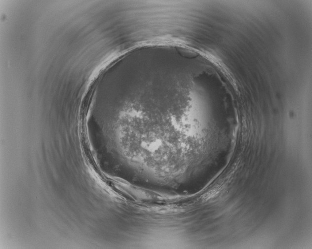 X0000057080998200509231619