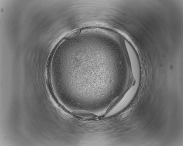 X0000057080999200509231619