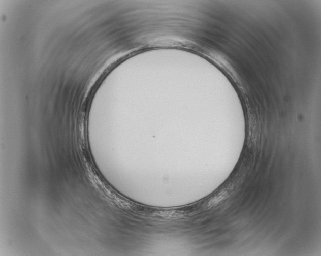 X0000057081000200509231619