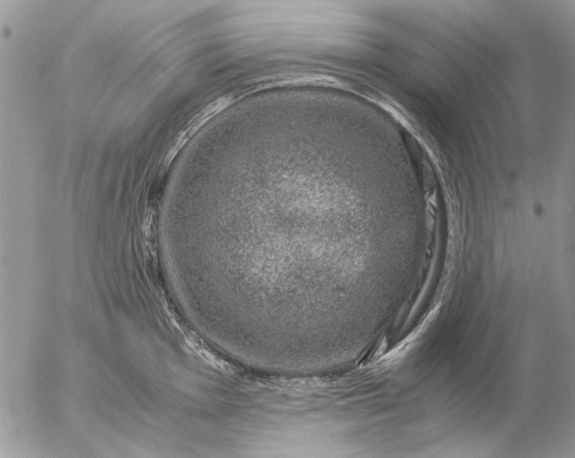 X0000057081001200509231619